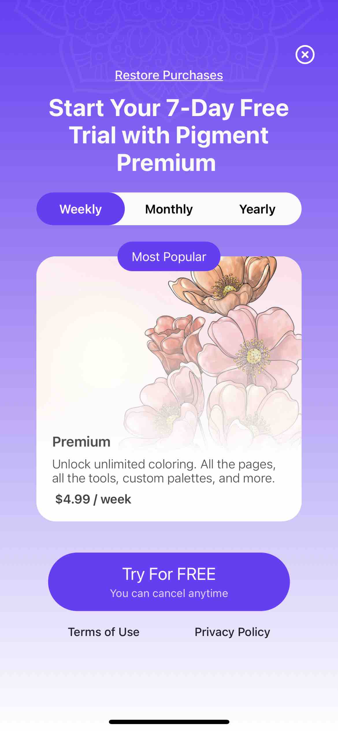 Adult Coloring Book - Pigment