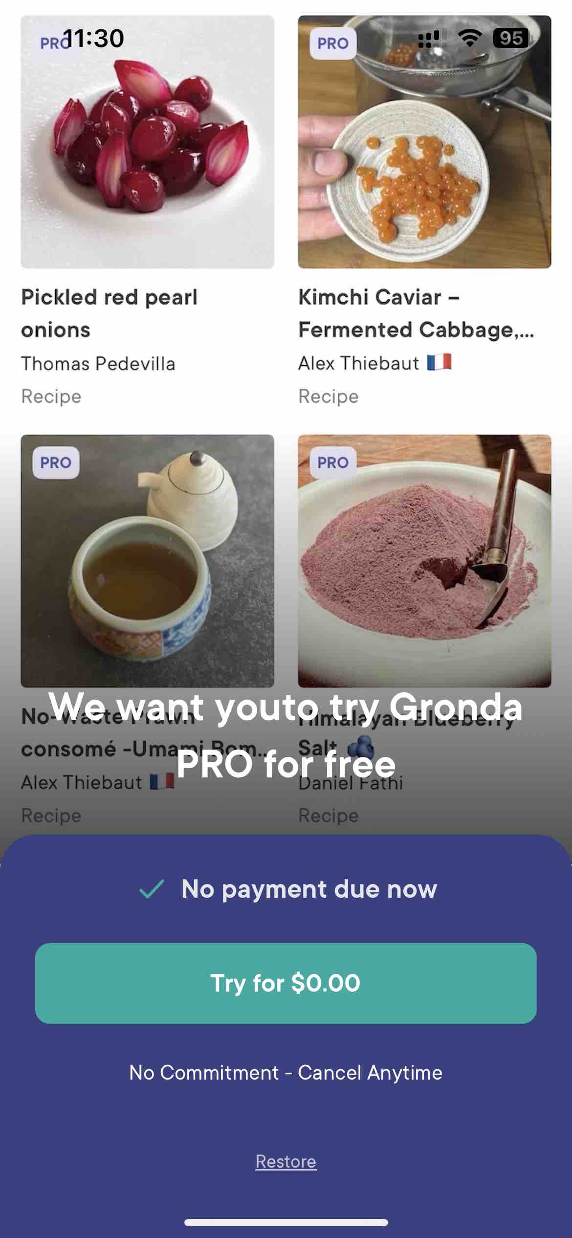 Gronda: Recipes for Chefs