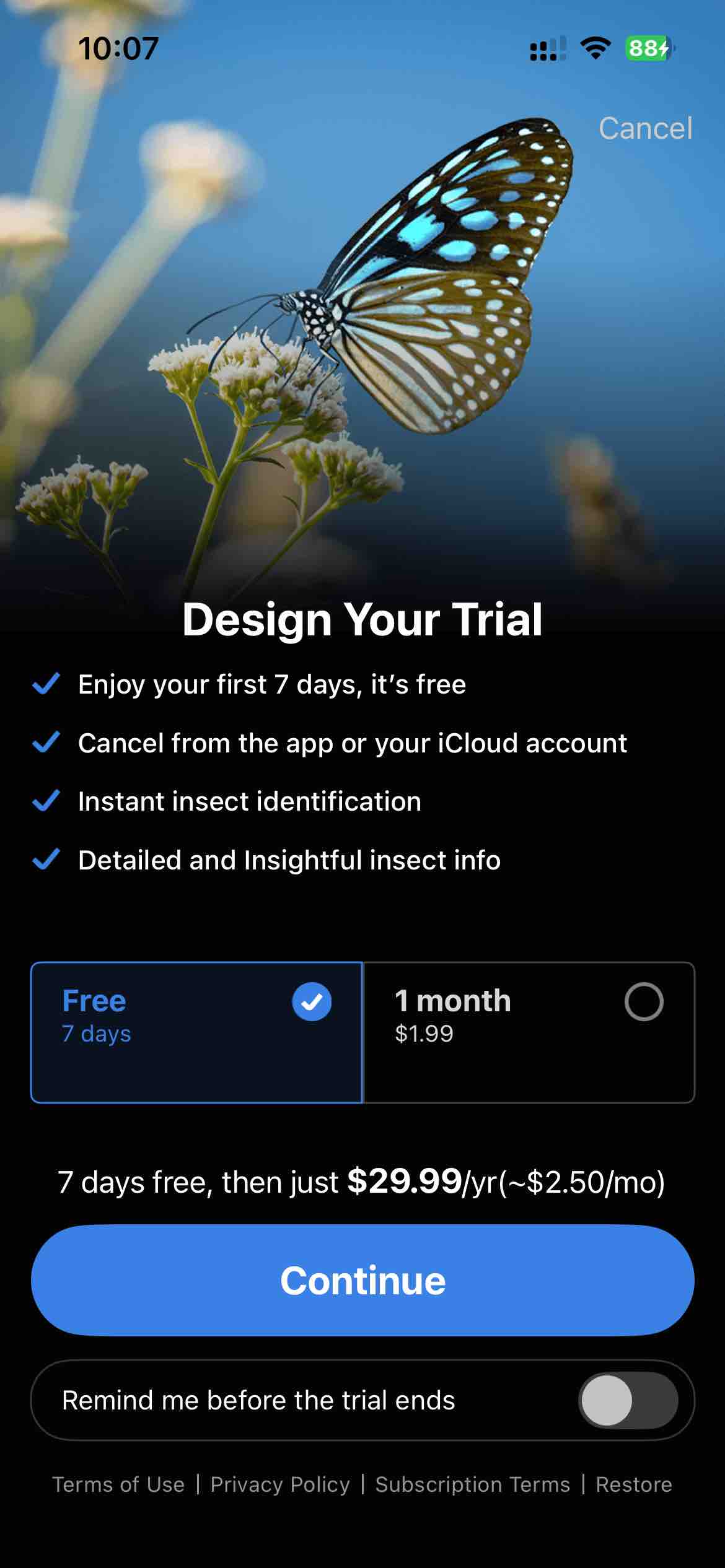 Picture Insect: Bug Identifier