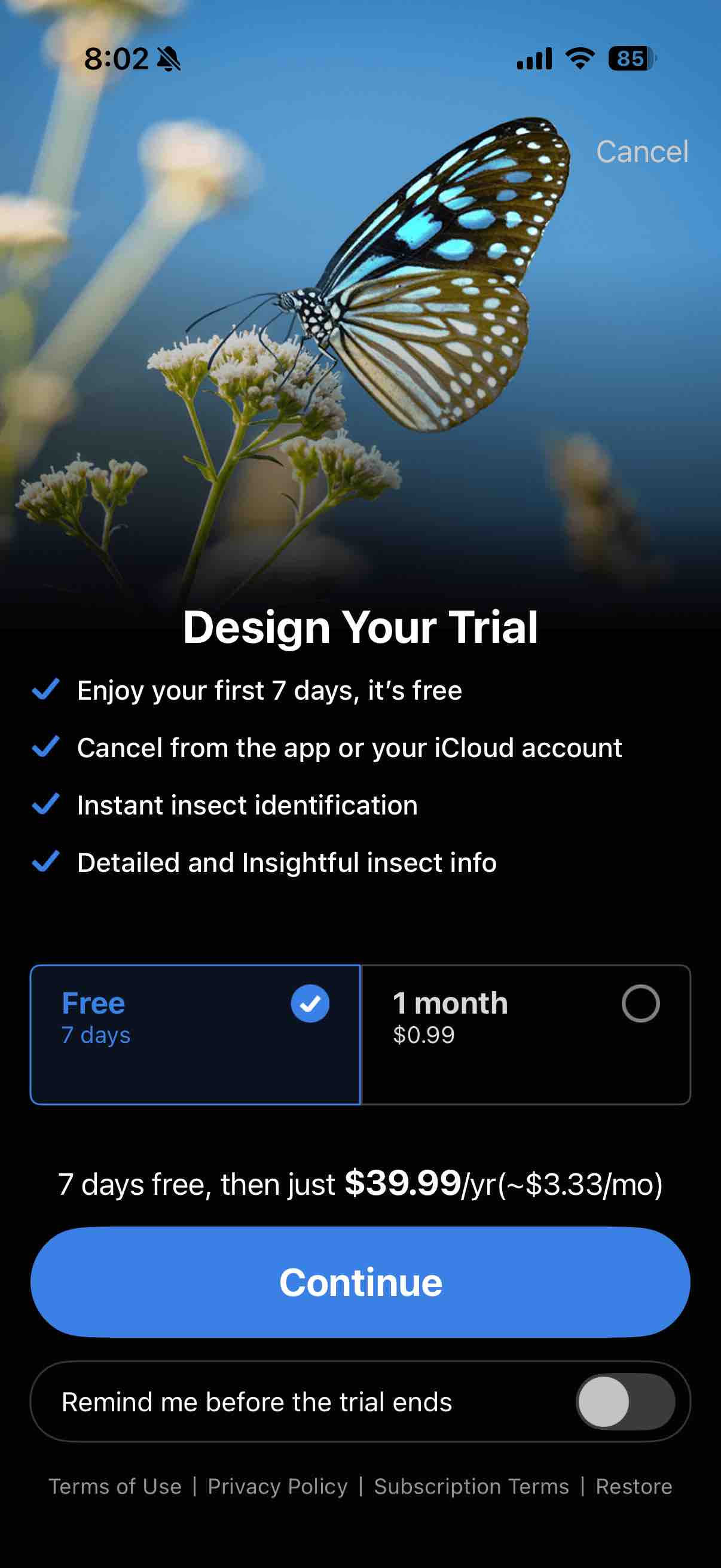 Picture Insect: Bug Identifier