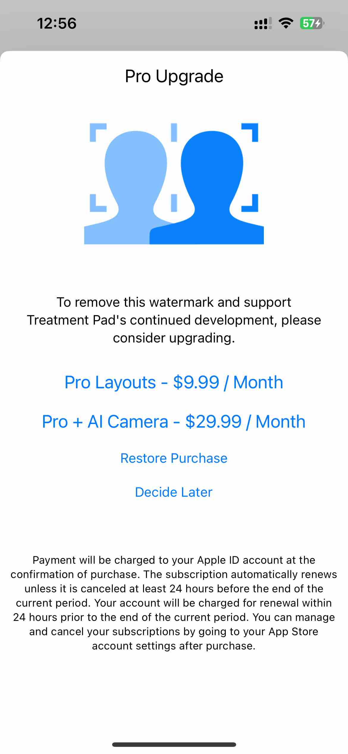 Treatment Pad - Layout Camera