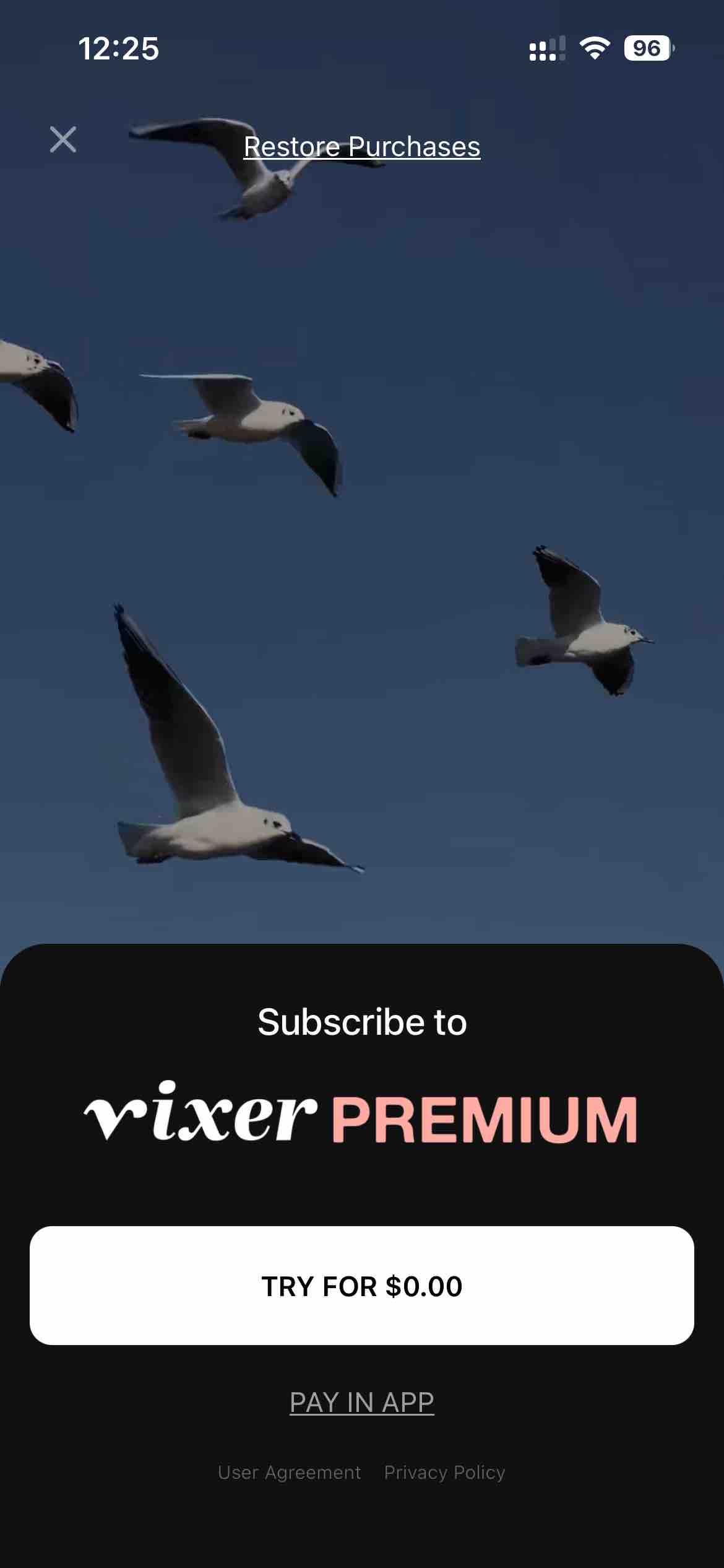 Vixer: Captions & Video Editor