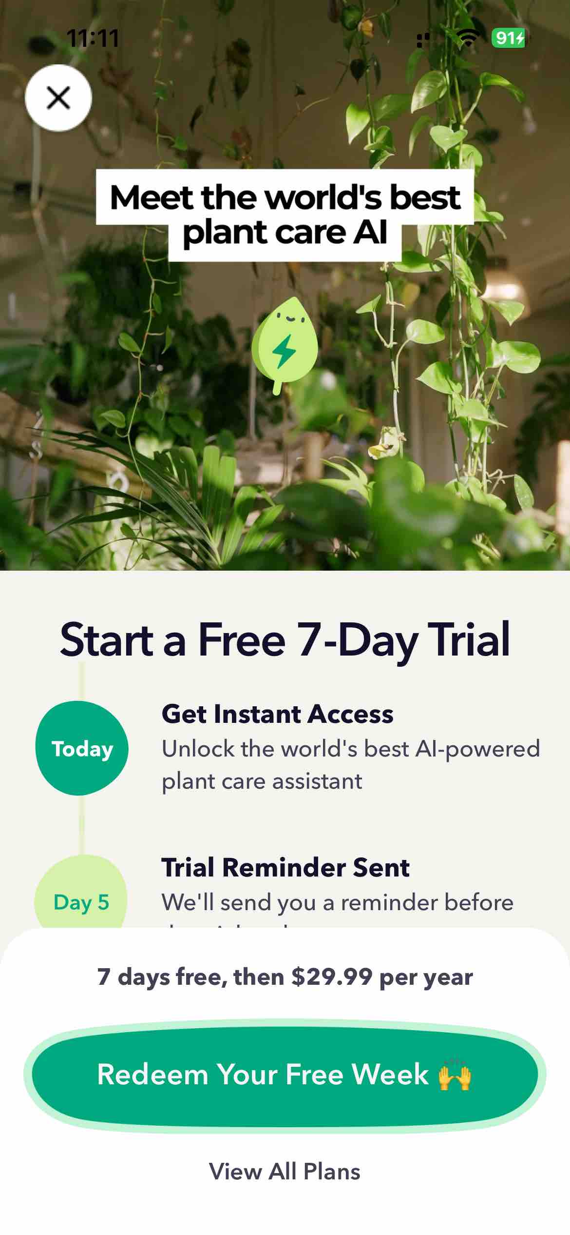 Greg: Plant Identifier & Care