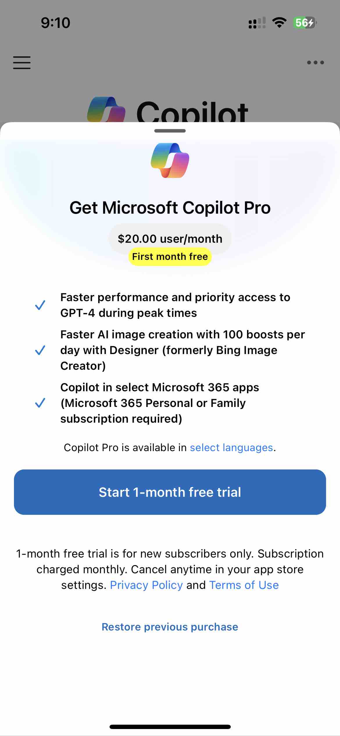 Microsoft Copilot
